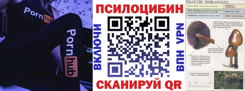 Псилоцибиновые грибы Magic Shrooms  продажа наркотиков  Александровское 