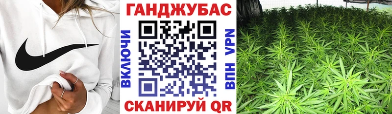 хочу Александровское Конопля Bruce Banner
